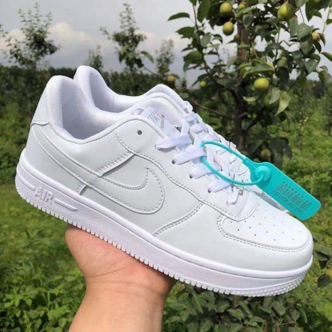Baskets :AIR