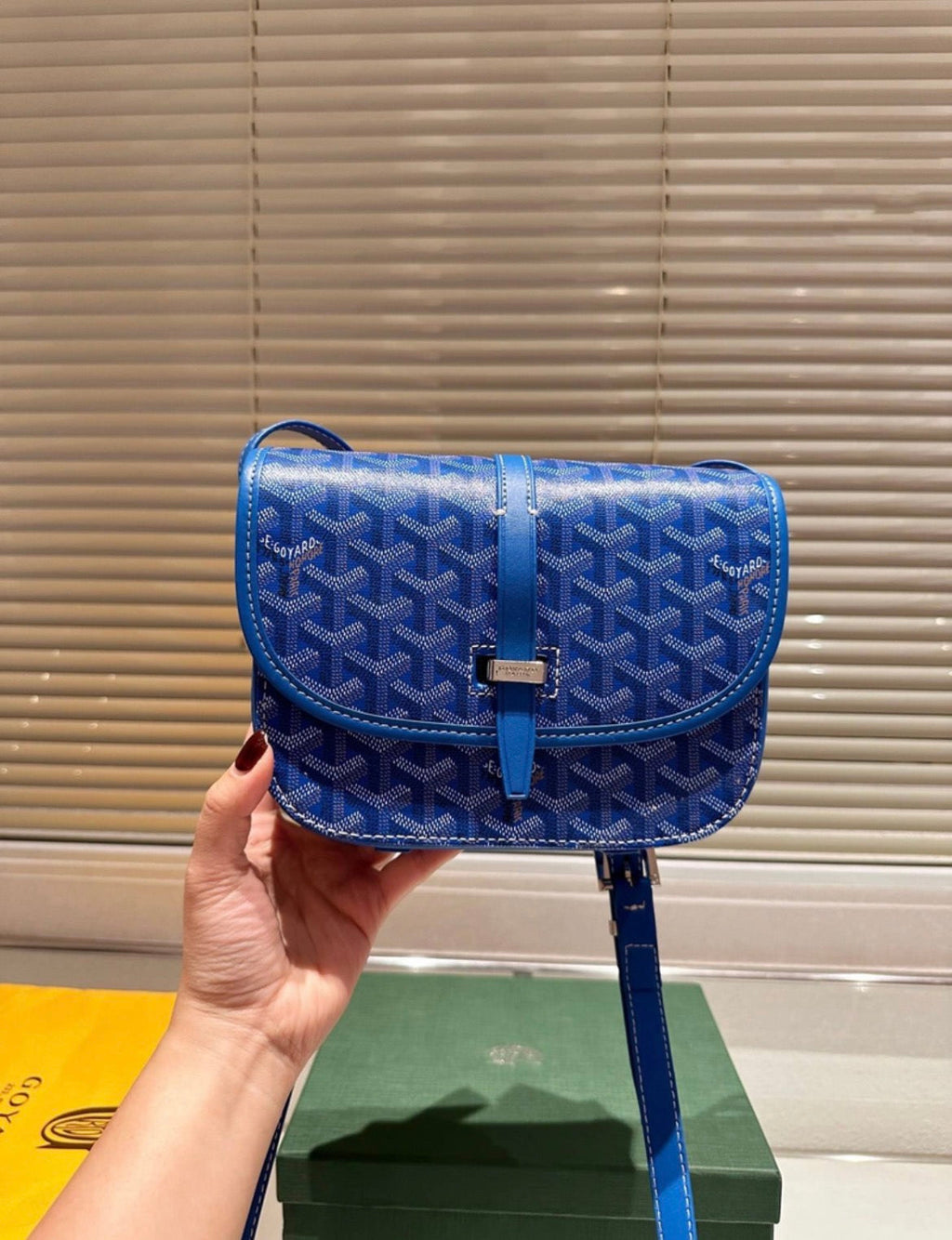 Sacs homme:GOYARD