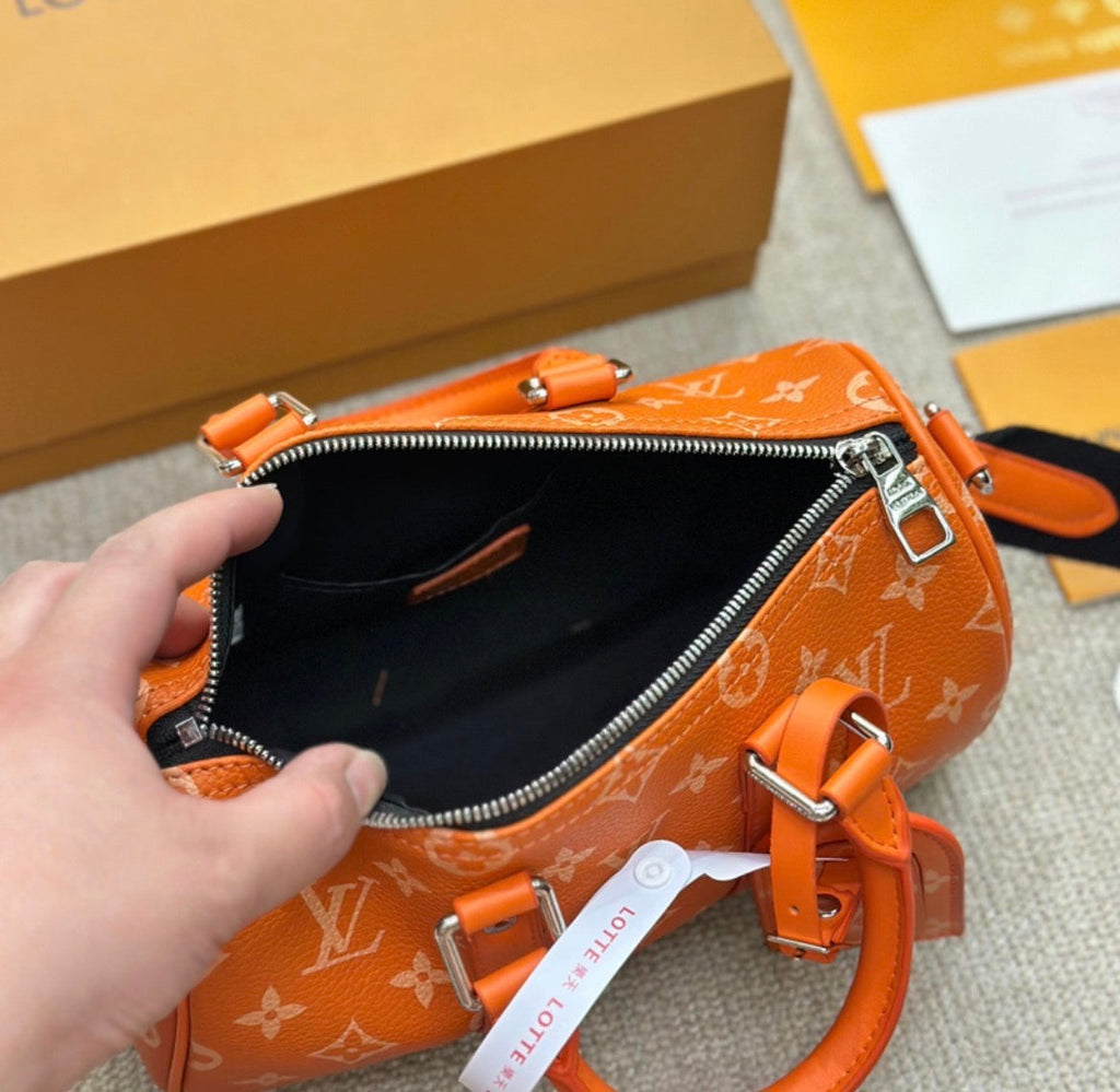 Sac à main LV